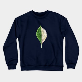 Summer vs autumn Crewneck Sweatshirt